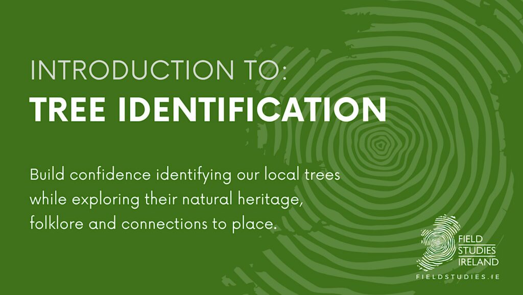Intro: Tree Identification Intro: Tree Identification